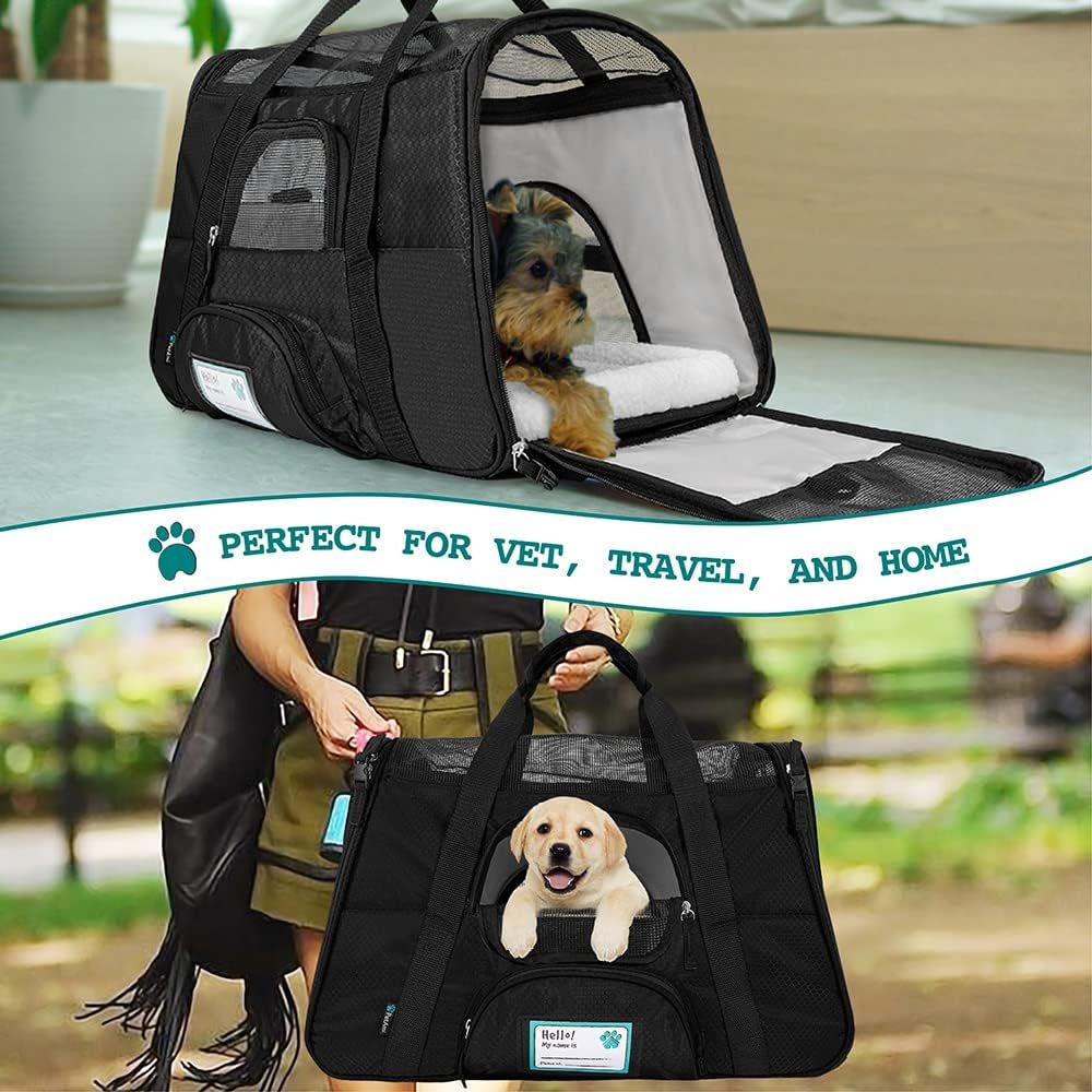 Airline Approved Pet Carrier for Cat, Soft Sided Dog Carrier for Small Dogs, Cat Travel Supplies Accessories for Indoor Cats, Ventilated Pet Carrying Bag Medium Large Kitten Puppy, Large Black